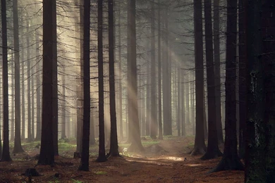 Best desktop wallpapers 1.jpg