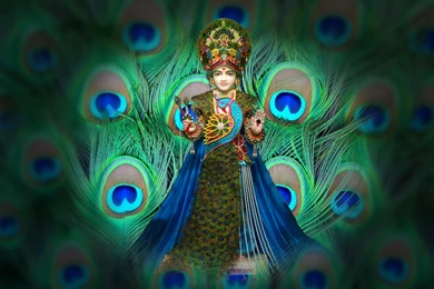 Download BAPS Web site's Wallpapers In Bitmap Format