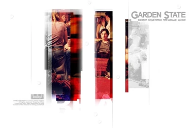 Garden State Zach Braff Natalie Portman Peter Sarsgaard Ian Holm ...
