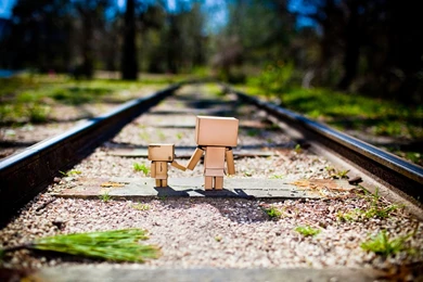 Danbo Humor Products Amazon Macro Tracks Railroad Babies Children ...