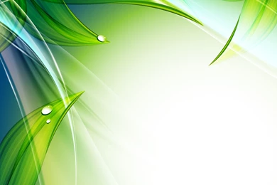 Free Vectors, Backgrounds, Clipart And More / 4Vector