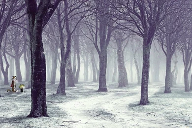 Calvin And Hobbes Wallpapers   Album On Imgur