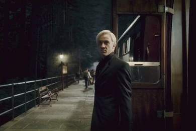 Draco Malfoy Wallpapers   Draco Malfoy Wallpapers (25676680)   Fanpop