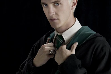 Pictures > Harry Potter Draco