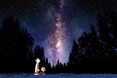 Calvin And Hobbes Looking At Stars Wallpapers