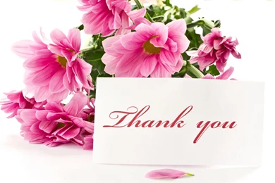 Thank You Colorful Text Hd Wallpapers