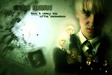 DracoMalfoy!   Draco Malfoy Wallpapers (30505848)   Fanpop