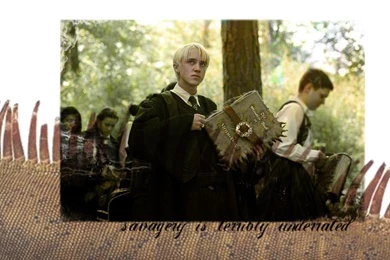 Draco Malfoy   Draco Malfoy Wallpapers (16375538)   Fanpop
