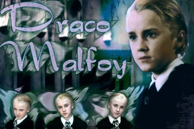 Draco Malfoy   Harry Potter Wallpapers (6795698)   Fanpop