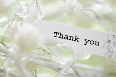 Thank You Desktop Free Hd Wallpapers