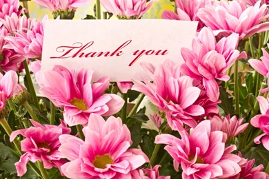 THANK YOU WALLPAPER   (