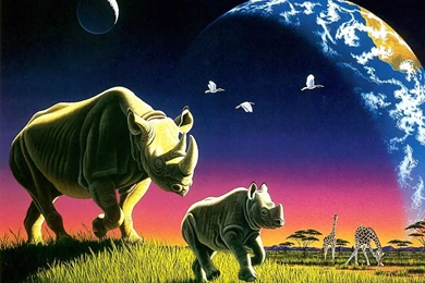 Rhinoceros Wallpapers Wallpapers   HD Wallpapers 3123