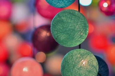 Desktop Beauty HD 1440x1280 Galaxy Nexus I9250 Wallpapers_Samsung ...