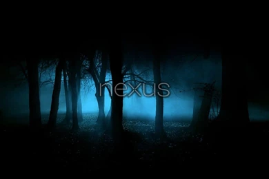 3263d1355173344 nexus wallpapers bluewoods01nexus01.jpg