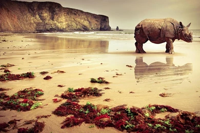 Hamburger (id: 98057) – BUZZERG