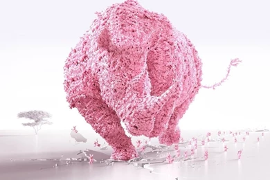 Rhino HD Desktop Wallpapers : Widescreen : High Definition ...