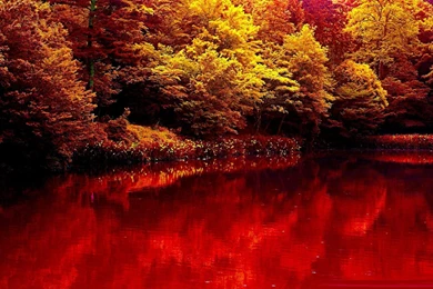 Nature Autumn Lake Forest Red Beauty Wallpapers