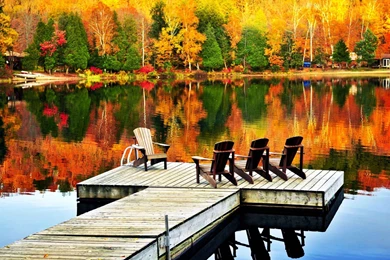 Nature, Autumn, Lake, Trees, Reflection, Wooden Chair, Peace