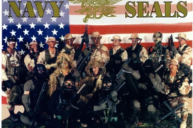 Seal Desktop Backgrounds