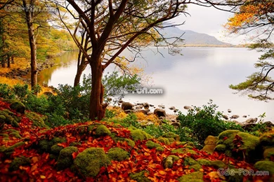 549457_osen_ozero_derevya_peyzaj_5139x3425_www.Gde Fon.com.jpg