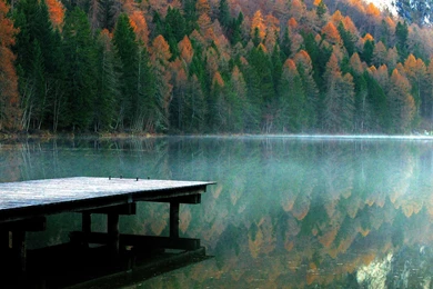 Autumn iPad Wallpapers