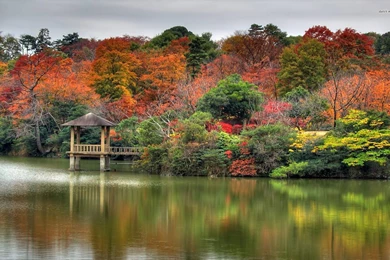 Small Dock At The Autumn Lake Wallpapers   Nature Wallpapers