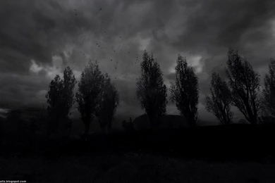 Dark Widescreen Wallpapers 28