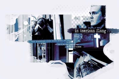 Gaslight Anthem  American Slang