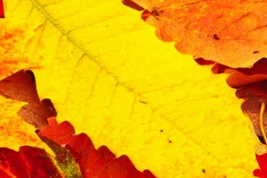 Wallpapers Samsung Galaxy Note 5 Ultra Hd Dancer 2160 3840 490 ...