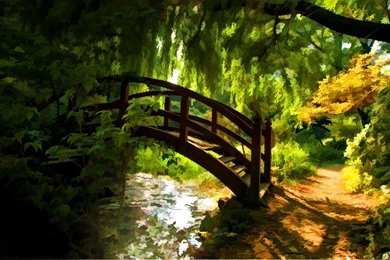 100 Amazing HD Wallpapers