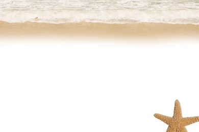 Free Sea & Marine Life Backgrounds For PowerPoint   Nature PPT ...