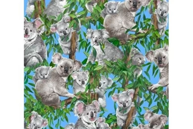 Koala allover 500x500.jpg