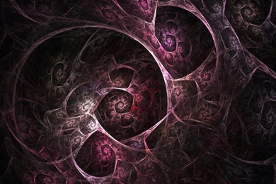 Chaos, Purple, Abstract, Flowers, 1920x1200 HD Wallpapers And FREE ...