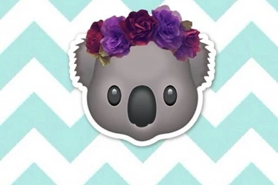 Koala Backgrounds