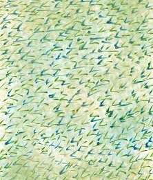 Design Practice: TOP 10 THINGS   Illustrations For Backgrounds