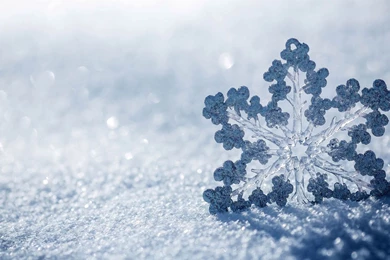 17 Wonderful HD Snowflakes Wallpapers   HDWallSource.com