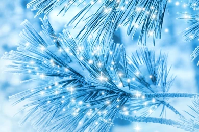 Snowflakes Macro Photo HD Wallpapers