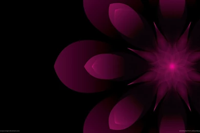 Pictures > Purple Abstract Art Backgrounds