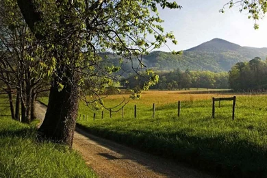 Spring Lanscape HD Desktop Wallpapers 7596   HD Wallpapers Site