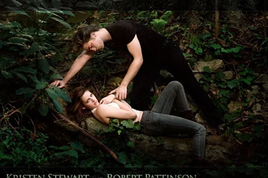 High Definition Wallpapers: Twilight Breaking Dawn Part Two Wallpapers