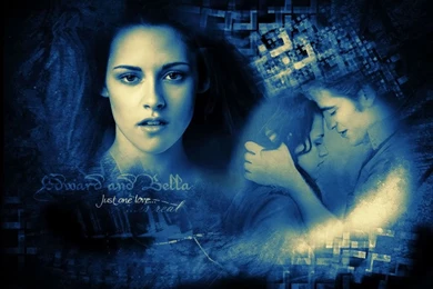 тωιℓιgнт Twilight Movie Wallpapers (17293932) Fanpop