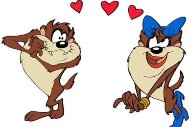 TAZ The Tasmanian Devil Wallpapers : Wallpapers 17