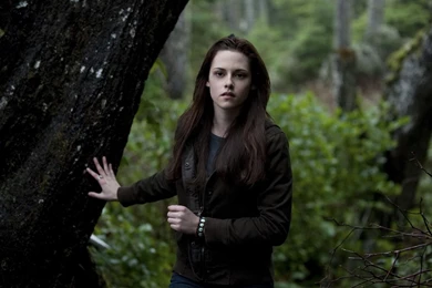 1920x1080 Twilight, Forest, Movie, Actress, Kristen Stewart ...