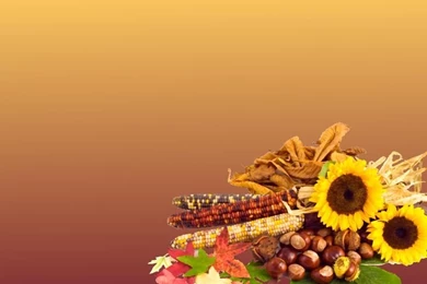 Thanksgiving Powerpoint Backgrounds Hd Free Wallpapers ...