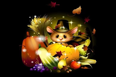 Day Scene Crazy Frankenstein 1024x768px Wallpapers Thanksgiving ...