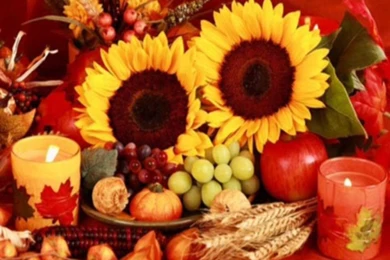 Thanksgiving Day Decorations Wallpapers   Crazy Frankenstein