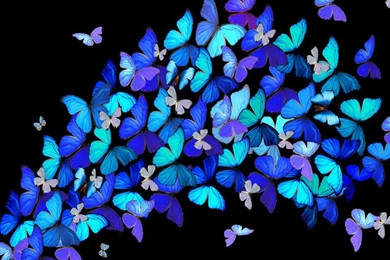 Cool Wallpapers For Phones   HD Wallpapers Pretty