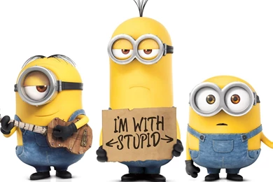 Funny Minions   Despicable Me Wallpapers   Cartoon Wallpapers