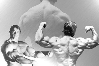 Download Free HD Wallpapers : Arnold Schwarzenegger Conquer ...