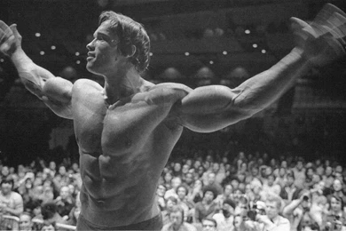 Arnold Schwarzenegger